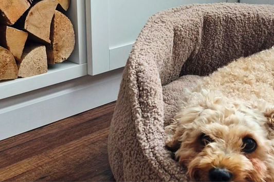 Are Wax Melts Safe Around Pets? How to Enjoy Home Fragrance in a Pet-Friendly Home